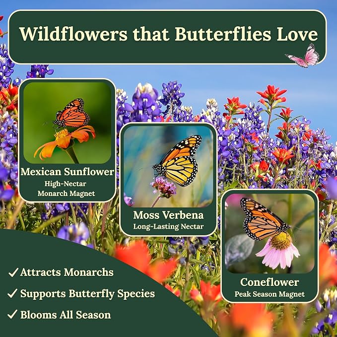 Wildflower Seeds for Bees & Butterflies – 22 Variety Pollinator Mix – 160,000+ Seeds – Annual & Perennial Wildflower Blend – 4 oz