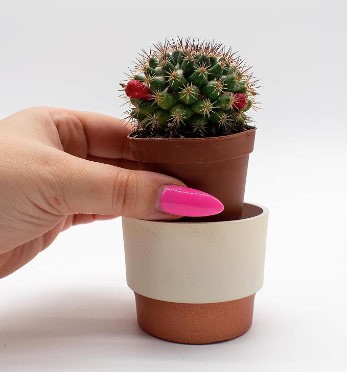 The HC Companies 3 Inch Sprite Mini Succulent Pot - Small Plastic Planter with Drainage for Indoor Plants, Artisan Taupe (20 Pack)