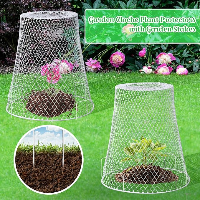 Therwen 15 Pcs Large Plant Wire Cloche 11 x 12 Inch Metal Garden Cloche with Garden Stakes Plant Protector from Animals for Keeping Bunnies Chicken Squirrels Birds (White)