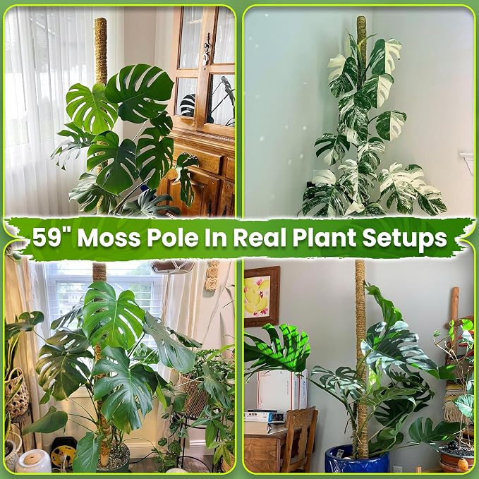 DUSPRO 59 Inches Natural Large Moss Pole for Big Plants, Monstera Plant Support, Plant Stakes for Indoor Plants, Plant Pole for Big Climbing Plants Indoor (1pc., 59'')