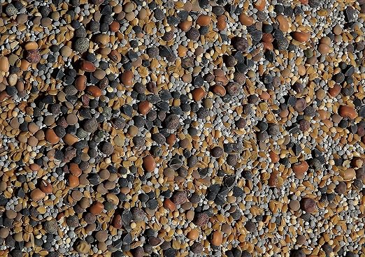 No-Till Cover Crop 13-Seed Mix (1 lb. Bag): [50% Clovers Plus Fenugreek, Vetch, Flax, Cowpeas, Buckwheat, Forage Peas, Millet, Lentils, Crimson Clover, Sweet Yellow, White Clover, Medium Red Clover]