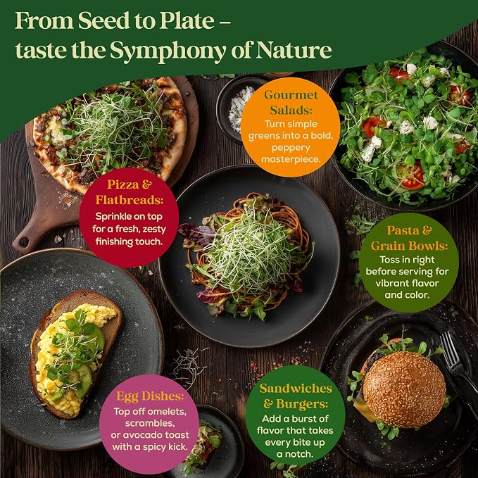Seedphony Arugula Sprouting & Microgreens Seeds - 220,000 Non-GMO Heirloom Seed, 1lb Resealable Bag - High-Germination Arugula Seeds for Sprouting in Jars, Soil, Hydroponics & Microgreen Trays