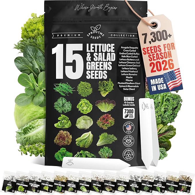 Lettuce & Salad Greens Seeds Variety Pack – Spinach, Kale, Arugula, Romaine & Iceberg Lettuce – 15 Varieties, 7300+ Non-GMO Heirloom Seeds, Indoor & Outdoor Growing