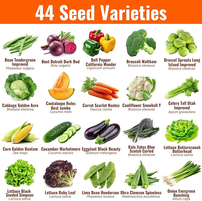Vegetable, Fruit & Herb Seeds | 44 Individual Packs | 2026 Season | Non-GMO, High Yield - 15,000+ Seeds | Tomato, Cucumber, Corn, Basil and More | for Indoor & Outdoor Garden Planting