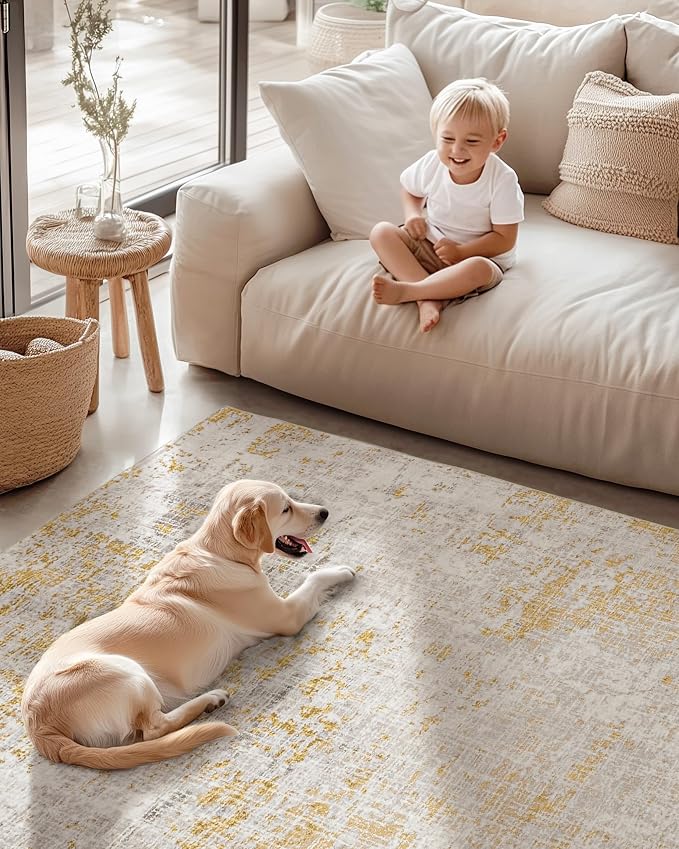 ILANGO Area Rug 3x5 for Living Room Bedroom Washable Rugs with Modern Non Slip Easy Care Floor Mats for Kitchen Entryway High Traffic Area Floor Carpet for Decor Doorway Laundry