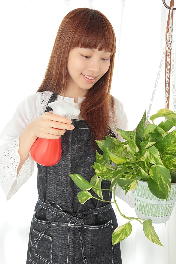 American Plant Exchange Marble Queen Pothos – Live 6-Inch Pot, Bright Green Trailing Vine, Easy-Care Air Purifying Houseplant for Hanging Planters, Shelves & Indoor Home or Office Décor