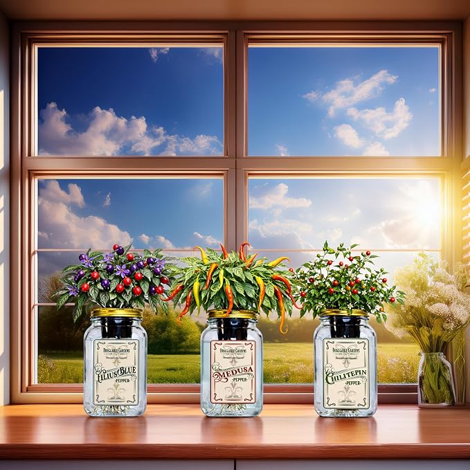 Rare Pepper Mason Jar Garden Kit (3 Pack) – Medusa, Filius Blue & Chiltepin Peppers – Indoor Hydroponic Pepper Grow Kit – Unique Ornamental & Edible Pepper Plants for Windowsill Gardening