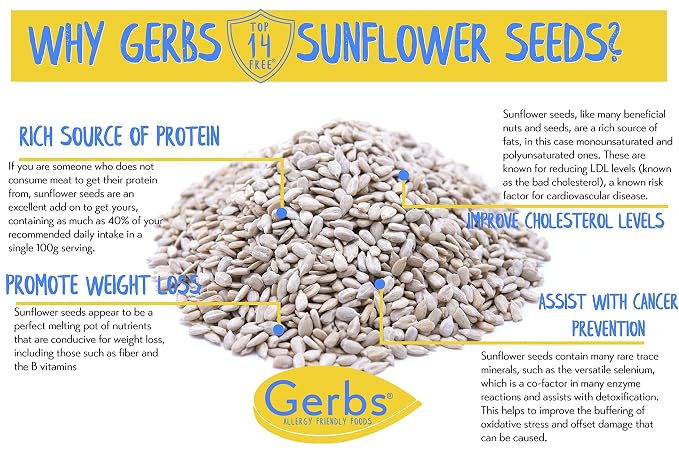 Gerbs Raw Sunflower Seed Kernels 14 oz. | No Artificial Additives, Resealable Bag | Mild & Crunchy | Top 14 Allergen-Free