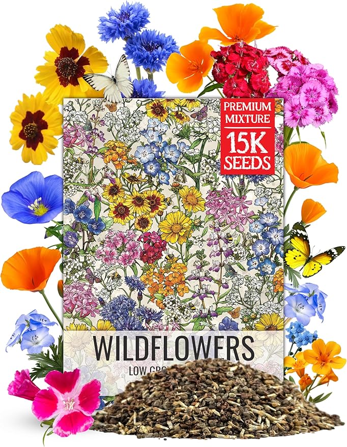Seed Needs Wildflower Seeds Low Growing 1 Ounce Heirloom Bulk Pack