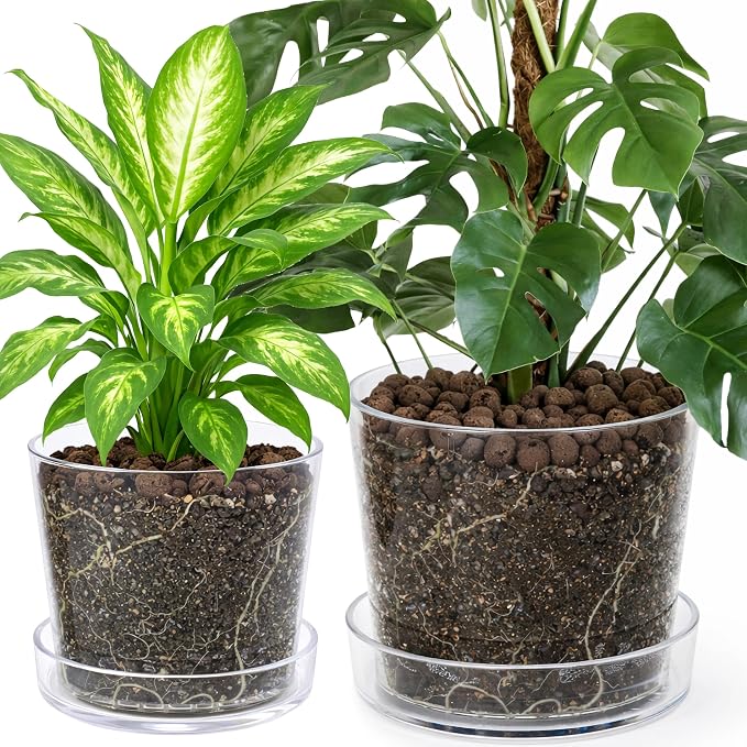 Phoenix Vine 10 Inch 12 Inch Clear Acrylic Houseplants Planter Pot with Tray, Orchid Pot with Drainage Holes, Deep Saucer for Bottom Watering, Transparent Containers for Indoor Plants, Herbs, 91-B-Z