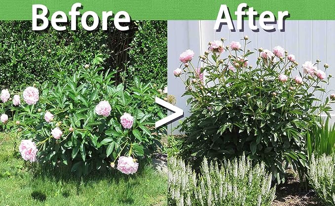 TCBWFY 8 Sets Peony Support Cage, 12" Dia x 24" High, Heavy Duty Metal Plant Support, Grow Through Hoops Grids, 4mm Legs, Green, Round
