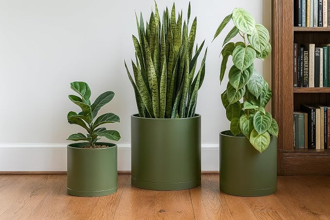 D'vine Dev 10 Inch 12 Inch 14 Inch, Set of 3 Plastic Planter Pots for Plants with Drainage Hole and Seamless Saucers, Olive, XX-Large, 74-V-I-6
