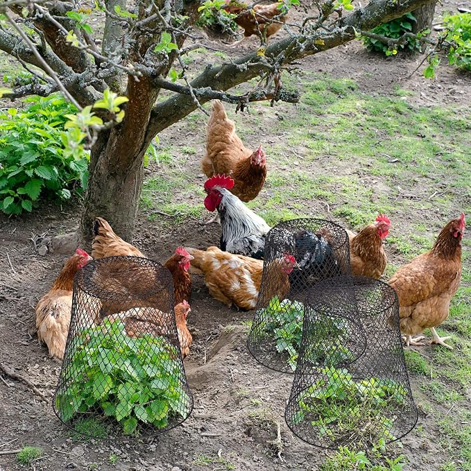 Geosar 20 Pcs 9 Inch Chicken Wire Cloche Plant Protector Cover Metal Garden Cloche Netting Protection Cages Vegetables Flowers with Garden Stakes Avoiding Chicken Rabbit Squirrels Birds (Black)