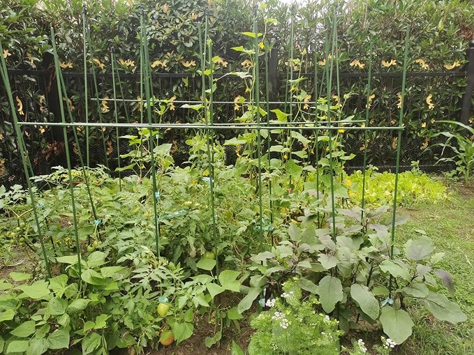 G-LEAF Garden Stakes 6 ft Plastic Coated Steel Tube Sturdy Metal Plant Sticks for Tomato,Cucumber,Bean,Tree,Pack of 25