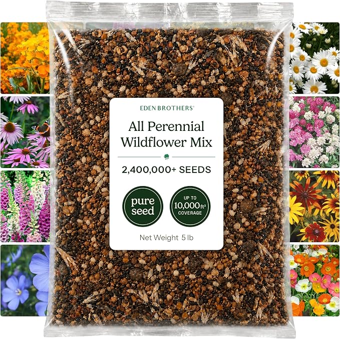 Eden Brothers All Perennial Wildflower Mixed Seeds for Planting, 5 lb, 2,400,000+ Seeds with Lupine, Shasta Daisy| Attracts Pollinators, Plant in Spring or Fall, Zones 3, 4, 5, 6, 7, 8, 9, 10