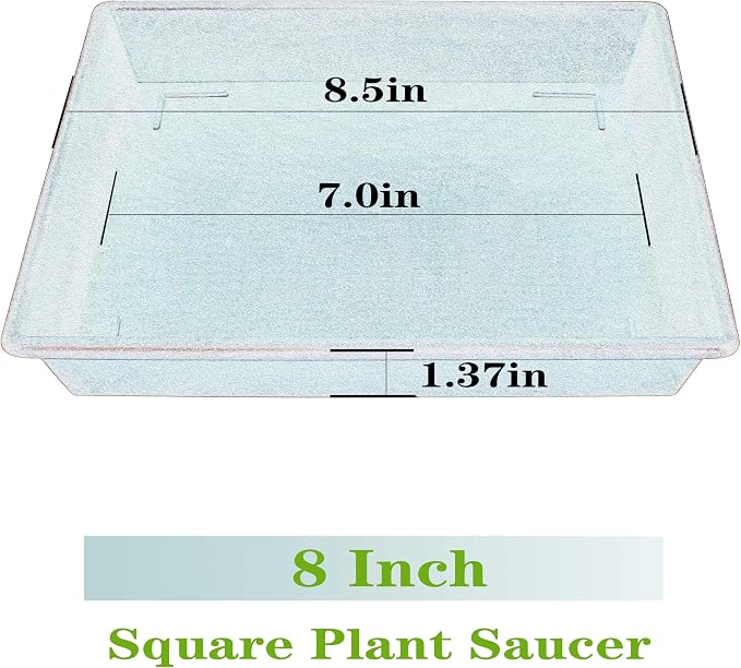 NIMYAU Square Plant Saucer 8 Inch 5 Pack, Plant Stand Plant Trays for Pots Heavy Duty Plastic Plant Saucers for Indoors Outdoors, Flower Pot No Holes Terracotta Plant Lover Gardening Gifts