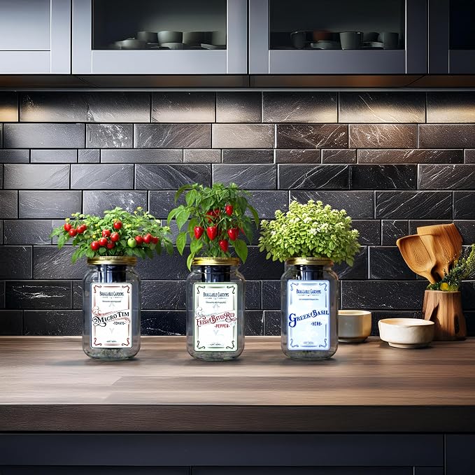 Italian Pizza Garden Mason Jar Kit (3 Pack) – Tiny Tim Tomato, Greek Basil & Mini Red Bell Pepper – Indoor Hydroponic Herb & Vegetable Grow Kit – Windowsill Pizza Garden