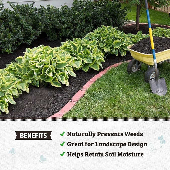 Back to the Roots 25.7qt (1 Cubic ft) Organic Premium Mulch