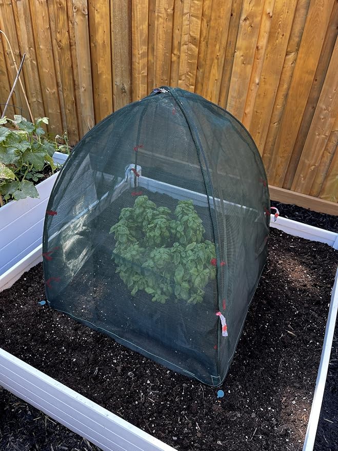 NuVue Products 25203 Pop-Up Garden Netting Animal and Bug Guard Covers with Ground Spikes, Mesh Plant Cover Tents for Pest and Animal Control, 52" x 52" x 54"