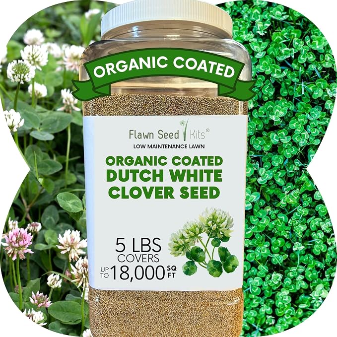 Flawn Seed Dutch White Clover Seed, 5 Lbs, Organic Coated, Natural Lawn, Ground Cover, Food Plot, Zones 3-9, Covers up to 18,000 Sqft