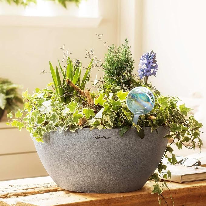 Clear Plant Watering Globes Set of 4 - Small Self Watering Globes for Indoor & Outdoor Plants - Automatic Glass Watering Bulbs for Daily Use, Plant Watering Devices