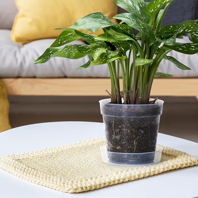 6 Inch Clear Plastic Plant Pot with Drainage Holes, Interlocking & Detachable Tray - Deep Saucer - Durable BPA-Free Plastic, Transparent Design, Raised Base for Airflow, Set of 12, 92-X-B-5