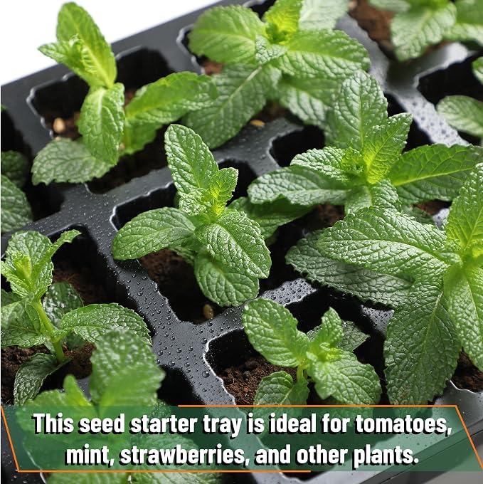 Mr. Pen 5-Set Seed Starter Tray Kits | Durable Plant Germination Trays with Humidity Vented Domes and Bases, Ideal for Seed Starting, Indoor Gardening