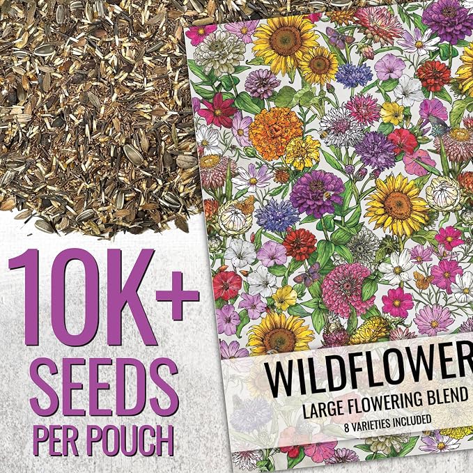 Seed Needs Garden Flower Seeds Large Blooms Mix 2 Ounce Heirloom Bulk Pack