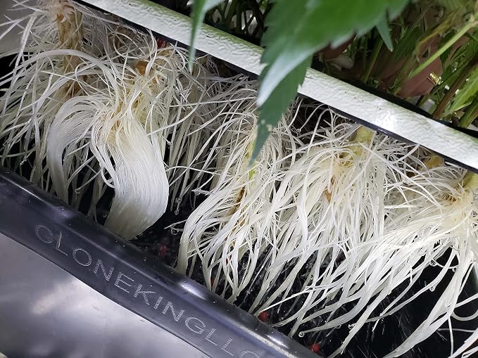 64 Site Aeroponic Cloning Machine Cloner Expect 100% Success Rates!!!