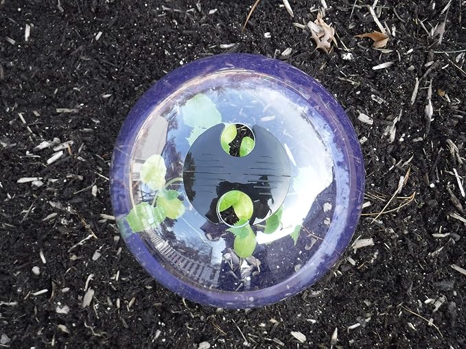 6-Pack! GrowAway Medium Reusable Plastic Mini Greenhouse, Cloche Dome, Plant Covers for Frost Guard Freeze Protection Outdoors, Garden Tools and Accessories - 10.24"Diam. x 7.48"H