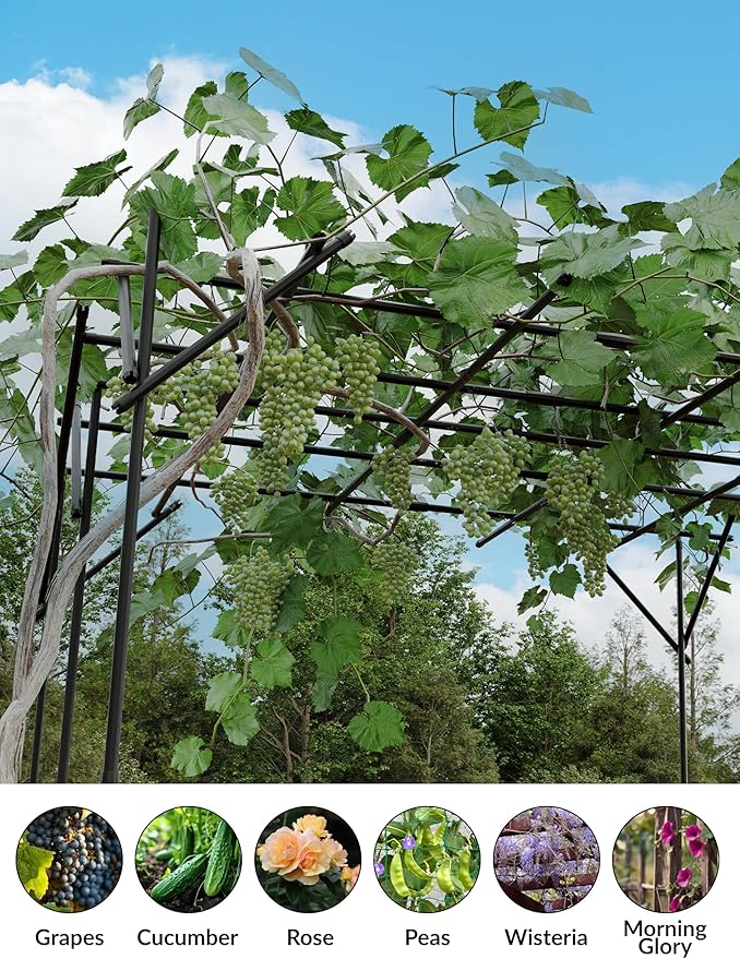 Patikuin Heavy-Duty Flat Top Garden Trellis for Climbing Plants, 80" Square Dome-Style Grape Growing Frame, Plastic Garden Arch for Weddings, Parties & Lawn Decor