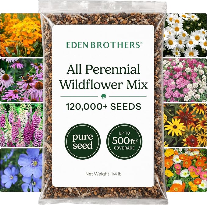 Eden Brothers All Perennial Wildflower Seed Mix for Planting, 1/4 lb, 120,000+ Seeds, Throw and Grow 19 Flower Varieties, Non-GMO Covers 250-500 Sq Ft, Attracts Pollinators, Spring or Fall, Zones 3-10