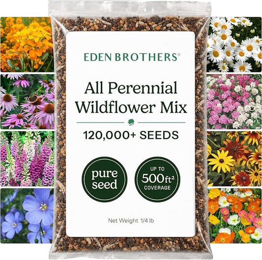 Eden Brothers All Perennial Wildflower Seed Mix for Planting, 1/4 lb, 120,000+ Seeds, Throw and Grow 19 Flower Varieties, Non-GMO Covers 250-500 Sq Ft, Attracts Pollinators, Spring or Fall, Zones 3-10