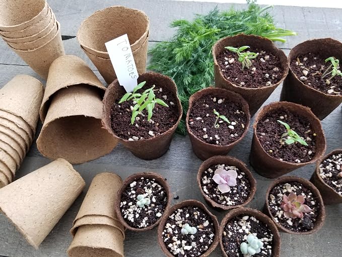 Daniel's Plants 4" Naked Pots | Large Natural Plantable Seed Starter Pots | OMRI-Listed Biodegradable for Seedlings | Enhanced Aeration | Earth Friendly - Peat Free | 30 Pack 4 Inch Round