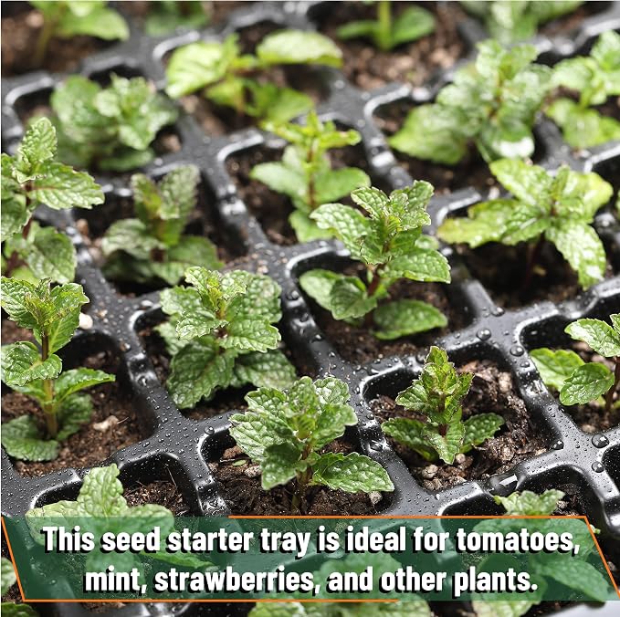 Mr. Pen- Seed Starter Tray Kit, 5 Pack, Total 350 Cells | Durable Plant Germination Trays with Humidity Vented Domes and Bases, Ideal for Seed Starting