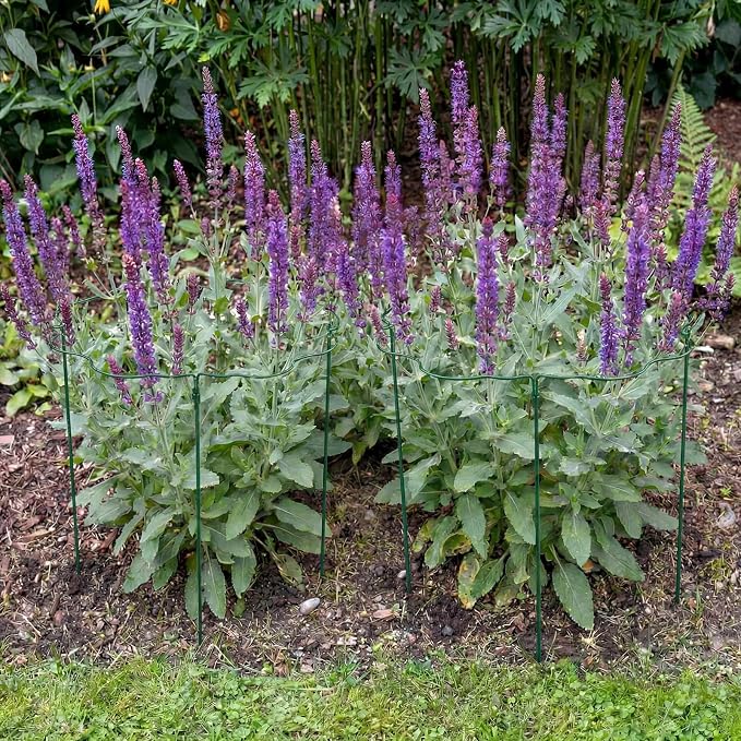 Pelopy 4 Pack Metal Scalloped Plant Support Stakes, Green Heavy Duty Metal Stakes for Outdoor Garden Plant Flower Peony Rose Perennials & Flowering Bush Support, 18" x 35"
