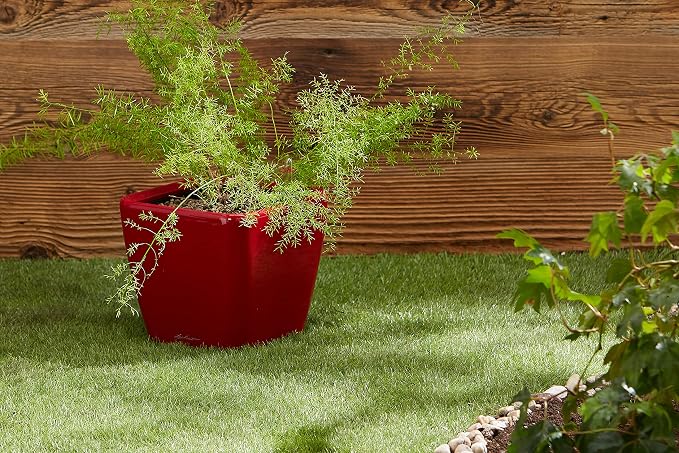 Lechuza Quadro LS 21 Scarlet Red High Gloss, Self-Watering Square Planter, H7.9 L8.3 W8.3 in