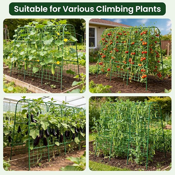OTOSUNNY Cucumber Trellis, 50x48 inch Garden Arch Trellis for Climbing Plants Outdoor, Rustproof Metal Plant Support Vegetable Vine Tomato Cage Bean Pea Cucumber Trellis for Raised Garden Bed, Green