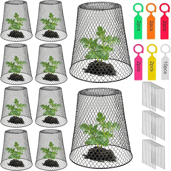10 Pack 9.13"×9.13" Chicken Wire Cloche Plant Covers - Garden Plant Cloche Metal Heavy Duty Plant Protectors from Animals for Keeping Bunnies Chicken Squirrels Birds Other Out (10, Black)