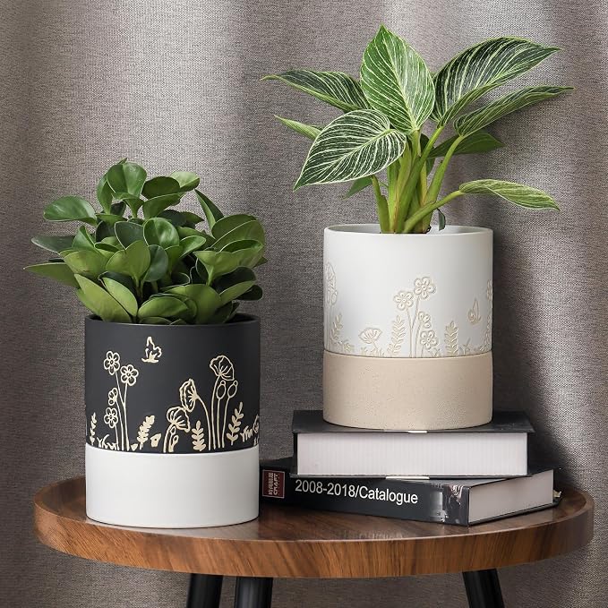 Nihow Self Watering Pots for Indoor Plants,6 Inch,White & Nature | Hand Painting,Ceramic Planter, Drainage Hole & Water Storage Plus, Cylinder Round Flower Pot, For Succulent/Herbs/Violets