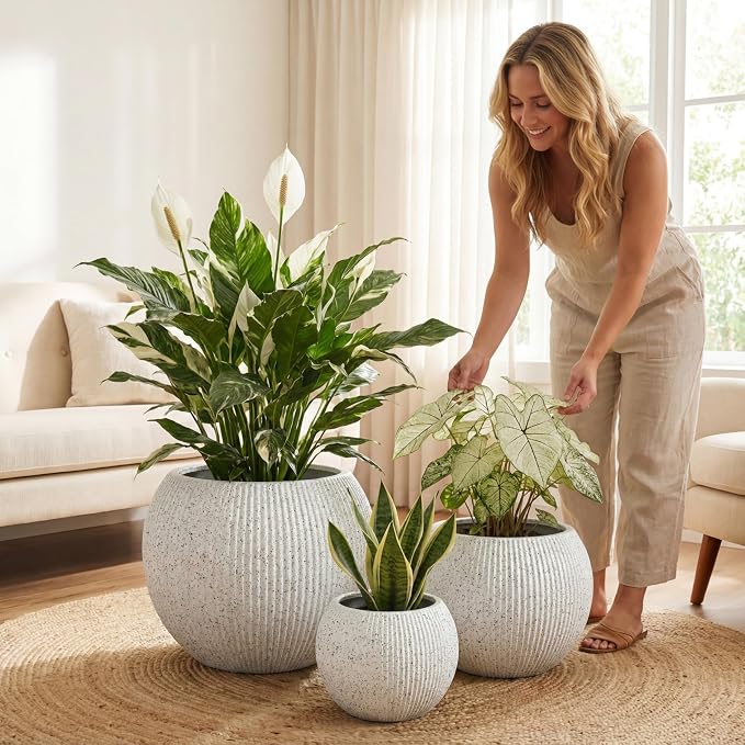 DTY Premium Mt Sherman Fiberstone Sphere Planter for Indoor Outdoor Use, Round Pot for Olive Tree, Lightweight, Smooth Finishes. 2 Coco Mats. Ribbed White, Small 12.6" D x 10'' H. 8.5” Pot Opening