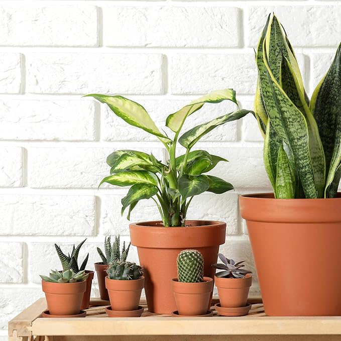 D'vine Dev Pack of 18 Terracotta Pots with Saucers, 3 Inches Terra Cotta Pots with Tray, Clay Pots for Plants & Succulents, Terracotta, 588-A-1-3