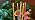 12 Pack 10 inch Yellow Spiral Taper Candles - Dripless, Smokeless, Unscented - 7 Hours Long Burning - Spiral Tall Candlesticks - Perfect for Home Decor, Weddings,Halloween, and Special Occasions. - Image 7