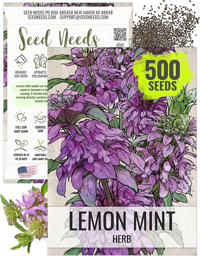 Seed Needs Lemon Mint Seeds to Plant Annual Heirloom Non-GMO Herbs 1 Pack