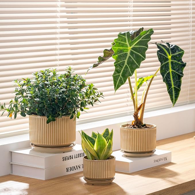 SURE YUESI Ceramic Plant Pots Set of 3, Indoor Outdoor Planters with Drainage Hole and Saucer, Ceramic Flower Pots for Indoor Plants, 4.3+5.5+6.8 Inch, Home, Garden, Patio and Office, Glossy Beige