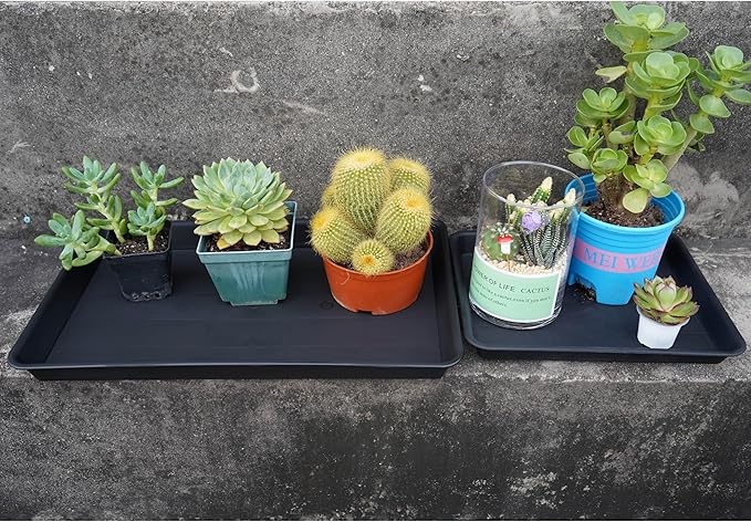 VUWEZ Plant Saucer Growing Trays, Seed Starter Tray, 14"x11", Heavy Sturdy Plastic Microgreens Saucers, Propagation Saucer Rectangular, Humidity Trays, Seedling Seed Starter Growing Tray