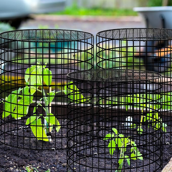 Hi Sasara 3 Sets Wire Plant Protectors Cage,11.8" Dia x 11.8" H,Metal Plant Protector Cage with Round Lids Plant Protector for Keep Rabbits Squirrels Animals Out,Garden Plant Protector with Staples