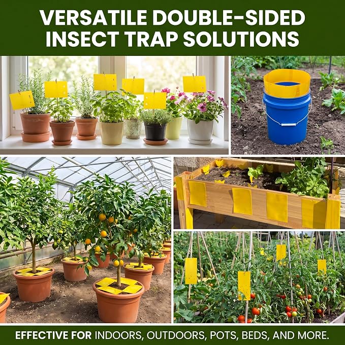 Qualirey 200 Pcs 2.7 x 3.9 Inch Small Yellow Sticky Traps for Plant Double Sided Sticky Trap for Gnats with Twist Ties Fly Traps for Fruit Insect Fungus Bugs Indoor Outdoor