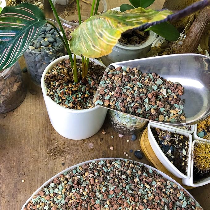 5lb Mix Horticultural Lava Rock Pebbles Pumice Potting Soil Amendment Succulent Cactus Bonsai Gritty Rock Decorative Gravel Plant Drainage Volcanic Rock for Aquarium Fairy Gardening Top Dressing