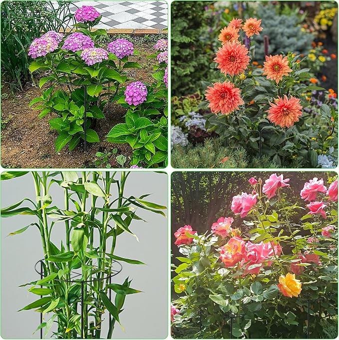 3 Pcs Large Peony Cages and Supports, 31.5"H x 12.6"D Grow Through Plant Support for Outdoor Plants, 7mm Stake Heavy Duty Metal Peonies Support Cage Peony Ring Plant Grid for Vegetables Roses Tomatoes